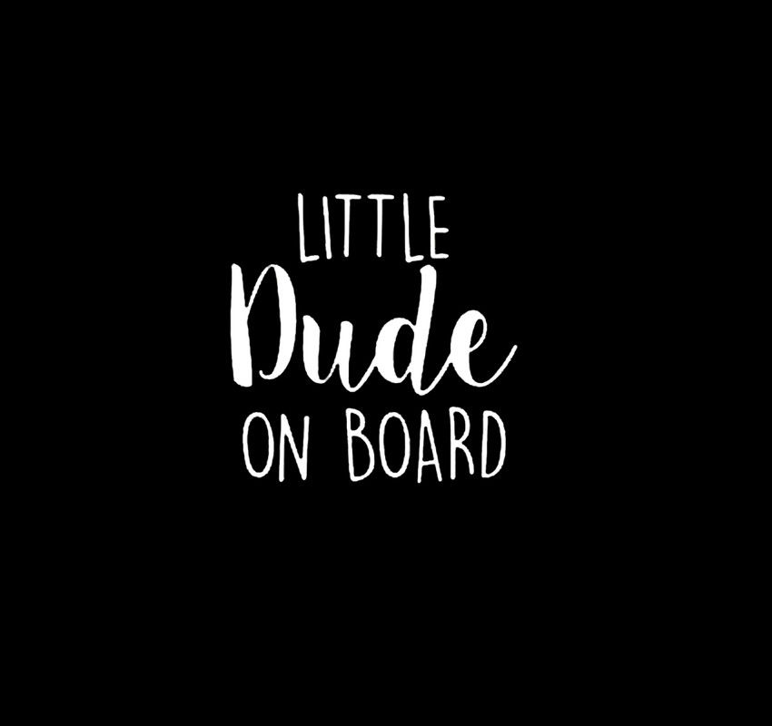 Little Dude On Board