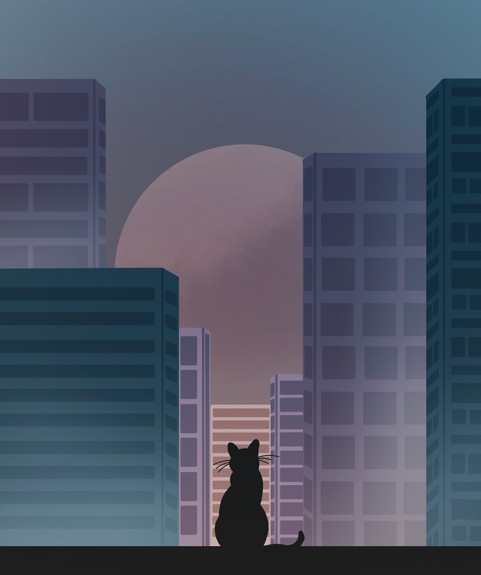 Cat_And_The_City