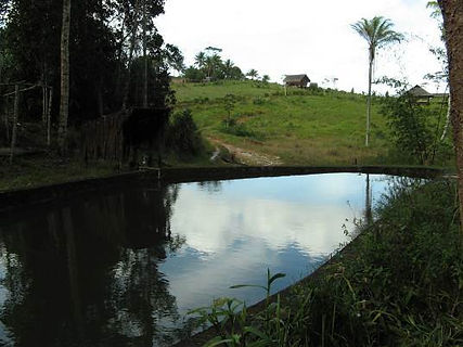 FV-represa-pedra.jpg