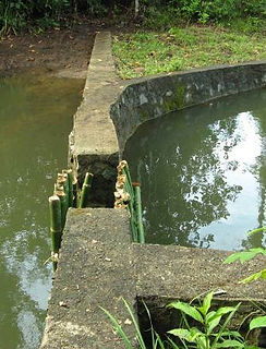 FV-filtro-represa.jpg