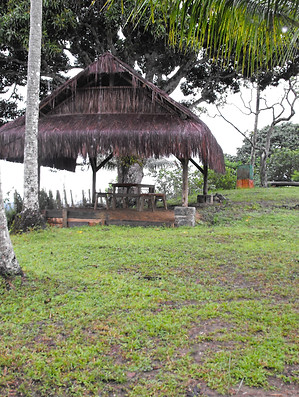 DSCF0174.JPG