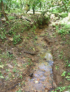 Ravine2.JPG