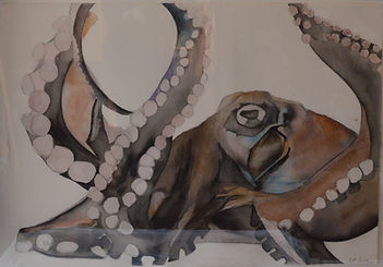 Ink and graphite on paper: a detailed rendering of an octopus with curling tentacles, soft shading, and expressive line work