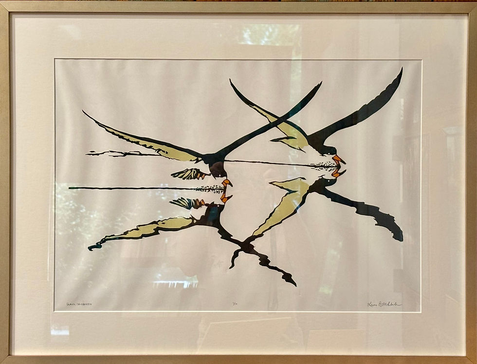 Thumbnail: Black Skimmers