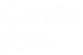 Untitled design (1).png