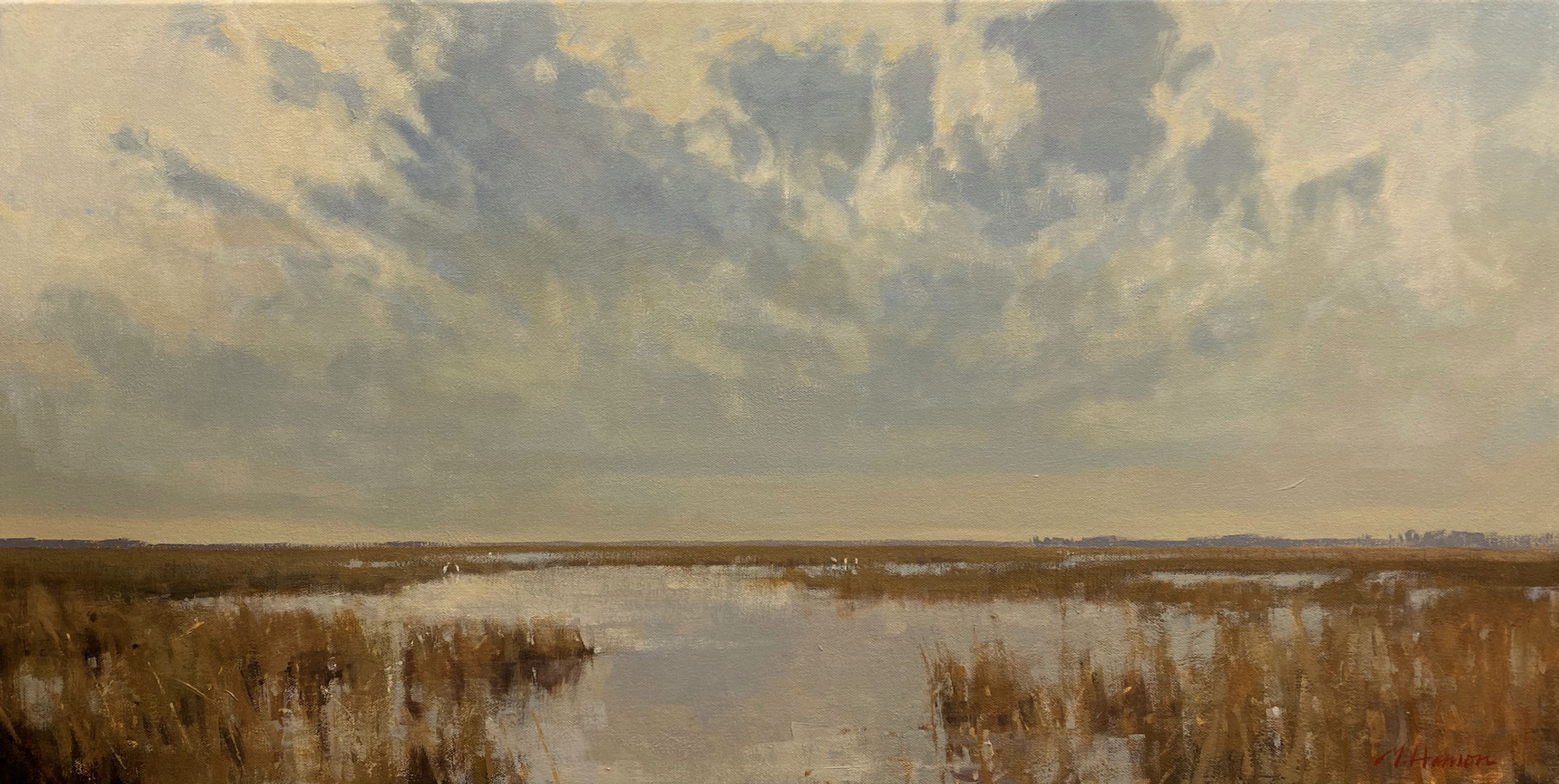 South Coast December Sky