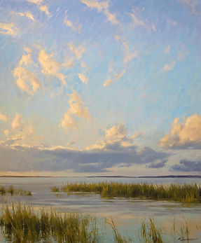 bright marsh landscape