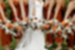 Wedding Highlights