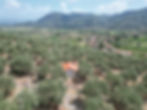 DJI_0603.JPG