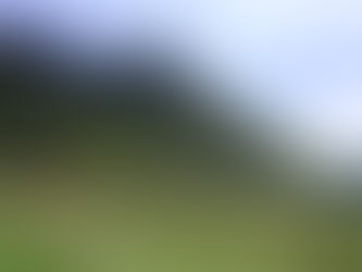 Glencoe con le immancabili pecorelle