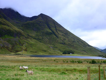 Glencoe con le immancabili pecorelle