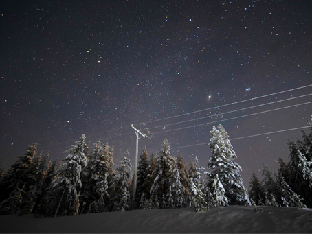 Foresta artica a Rovaniemi, sotto un cielo stellato