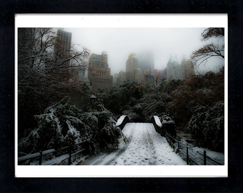 Central Park Michael Huhn