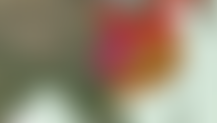 人口與社會動能：重構護家愛台的保守主義論述（2021修）