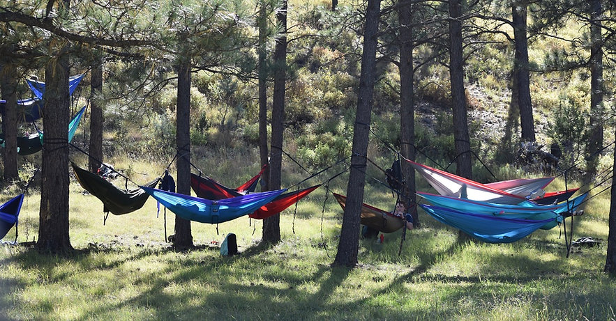 Hammocks.jpeg