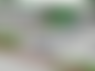 Future of Urban Transport – Can Yerevan Be Part of It?