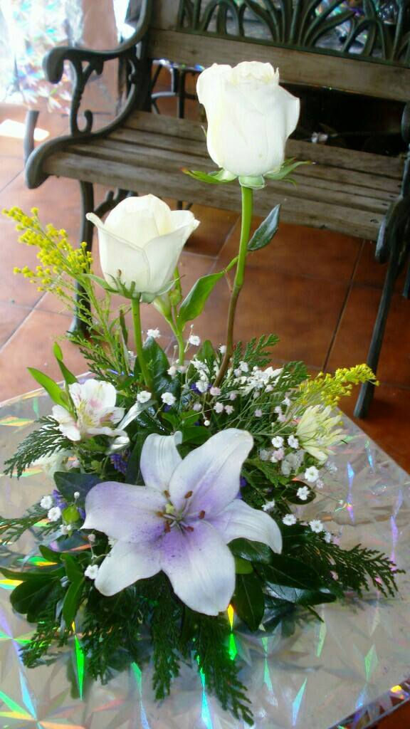 23157263_1503567566402745_6556321439896302284_o