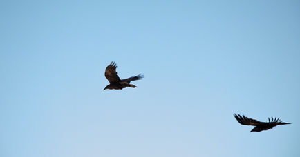 Cardenas Photography-44