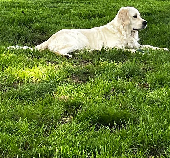 Riley.jpg