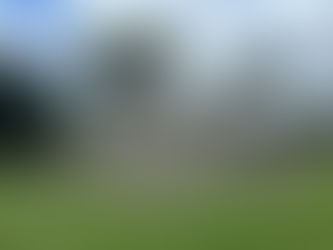 Exploring The Ancient Beauty Of Copan Ruins, Honduras