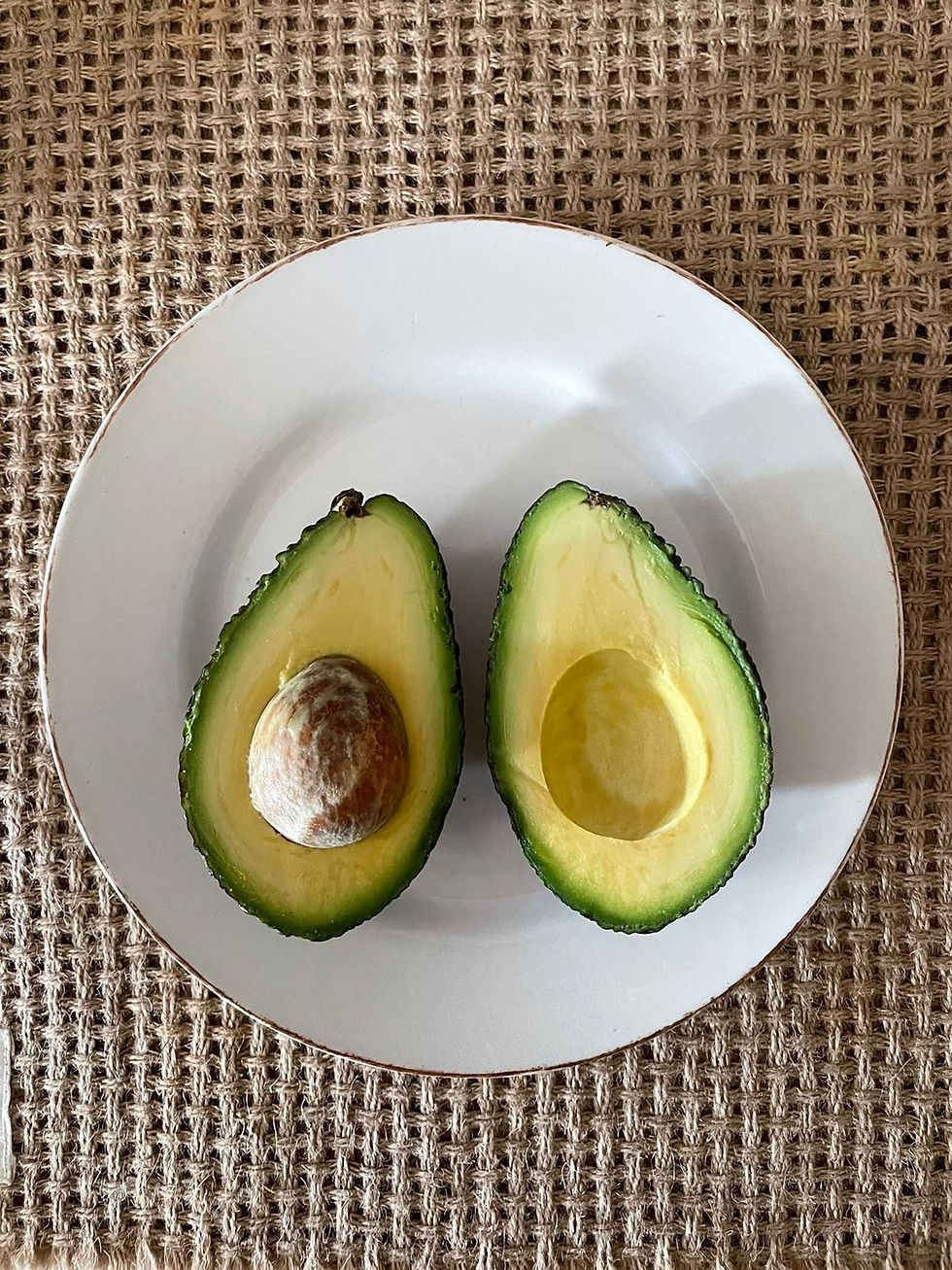 Palta hass x6