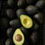 Miniatura: Palta hass x6