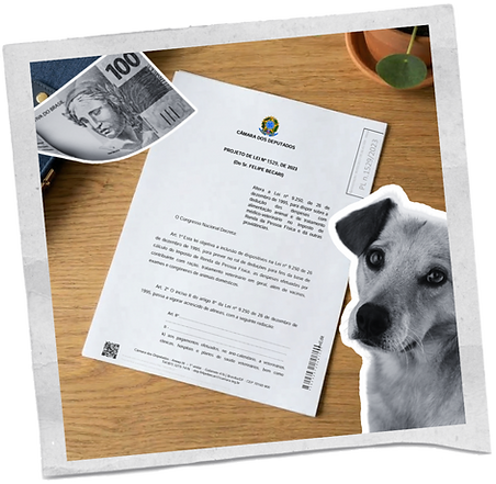 Caparedes (7)_edited.png