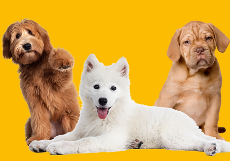 _Social Media Marketing Facebook Post (1).png