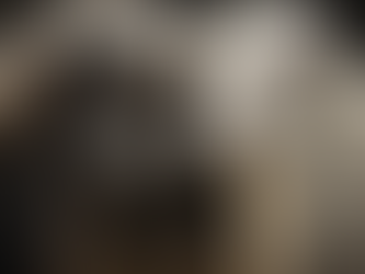 "Un León Que No Ruge. Cuando el Simbolismo Político cae en una Encrucijada"