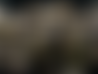 "BORREGOD": Entre la Reinvindicación, La Resilencia y la Esperanza. EL Arte de la Atención.