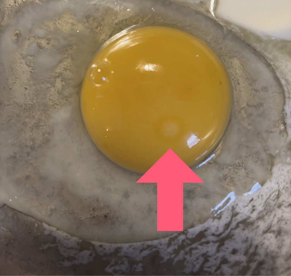 You have to look closely, but there is a bullseye in the yolk. A rooster fertilized this egg prior to the hen laying it.