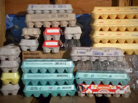 The Squawk's Recycling Center