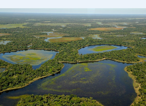 pantanal_4.jpg