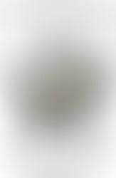 The Order of the White Shrine of Jerusalem