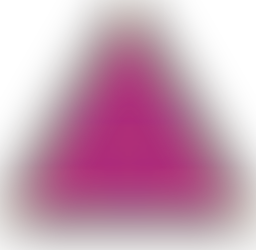 The Masonic Order of Pilgrim Preceptors