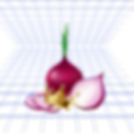 Onion2.png