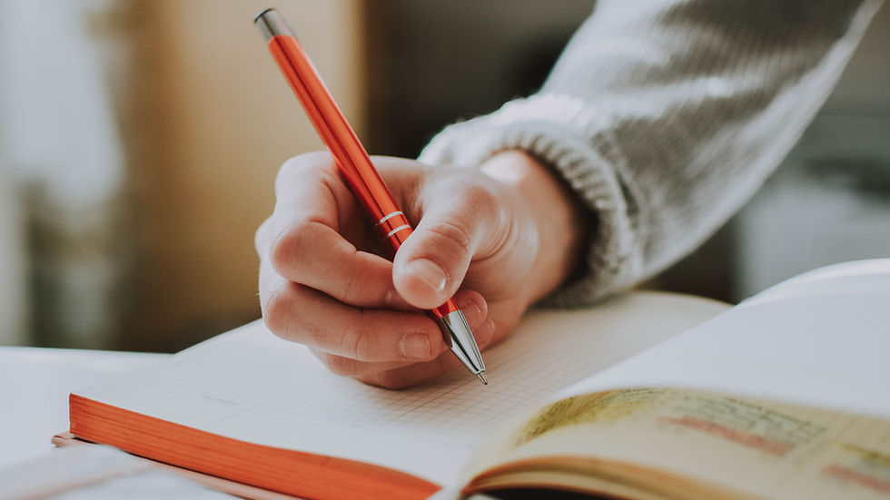 person journaling in a notebook