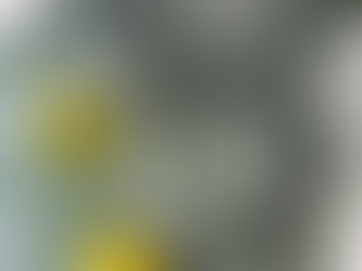 Regional Integration and the Future of the EU: What Does It Mean for Cyprus?