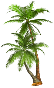 pngimg.com - palm_tree_PNG2504.png