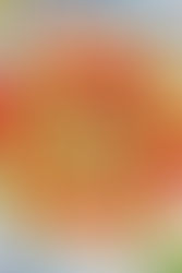 7 light meals you can make to stay cool and nourished during the peak of summer!