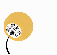 Butterfly Accountancy logo