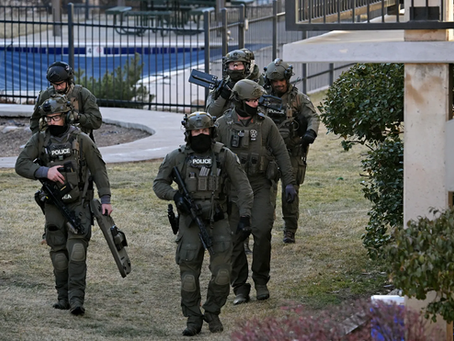 ICE Patrol: The Chilling Blueprint for Martial Law and a Post-Constitutional America