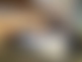 2025 SAPA Meet with Investors and Network with Entrepreneurs (MINE) Inaugural Salon