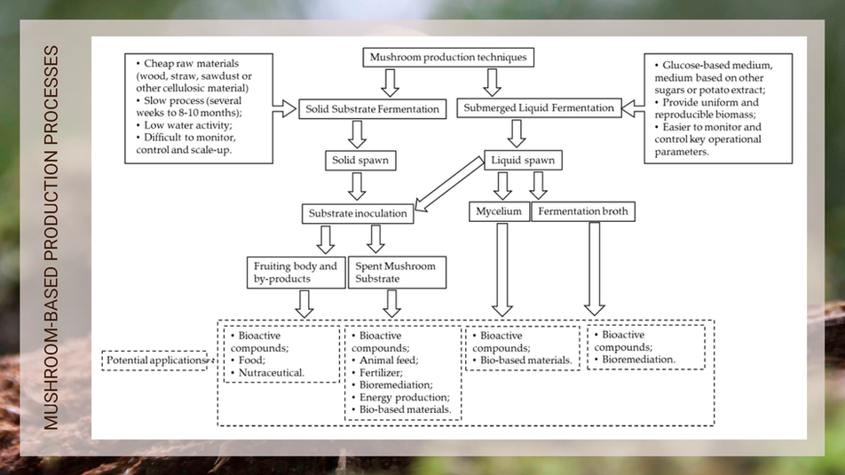 DSGN-442_Making Project Part #2_Page_11.png