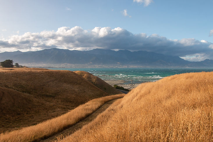 AdobeStock_354814401.jpeg