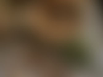 Pause on Salve Production, New Products to Come!!