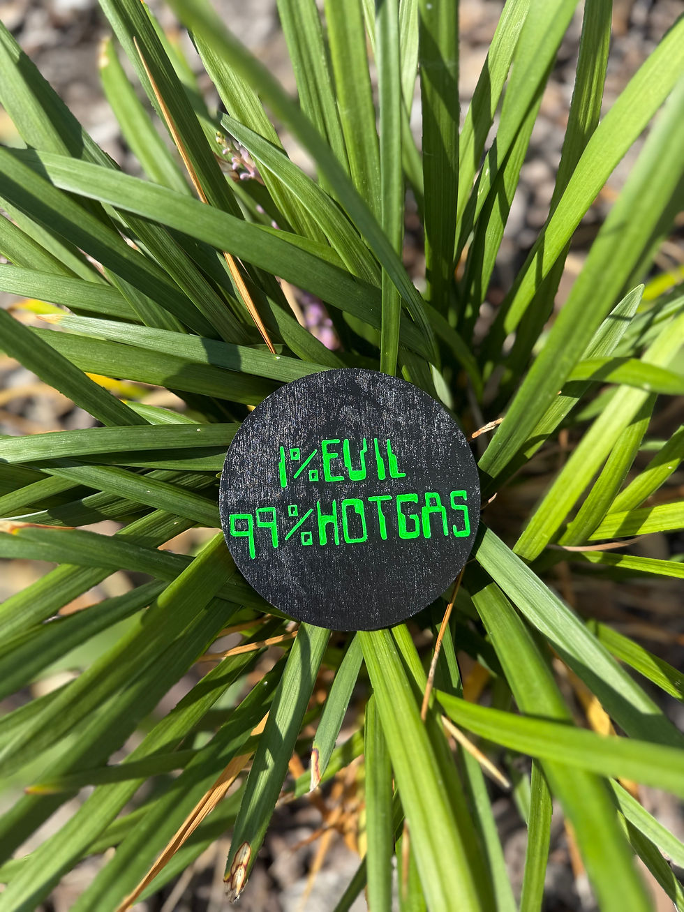 hand-painted SpongeBob inspired magnet displayed on a plant