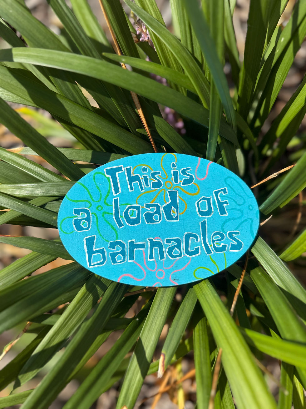 hand-painted This Is a Load of Barnacles Magnet displayed on a plant