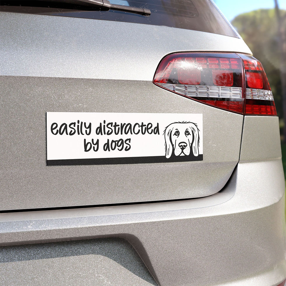 Thumbnail: Easily Distracted by Dogs Car Magnet