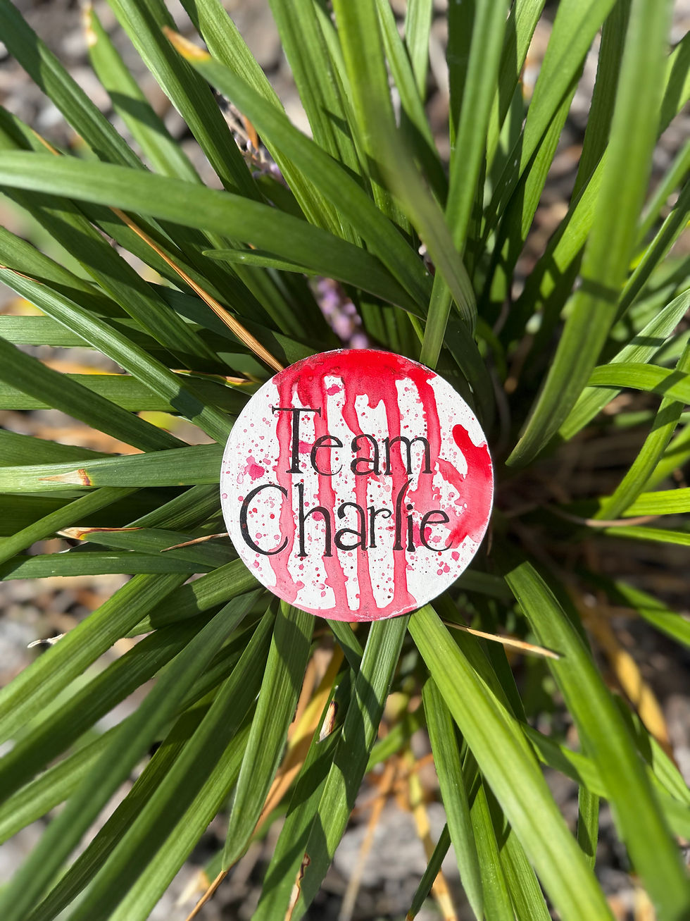 Team Charlie Twilight Inspired Magnet displayed on a plant